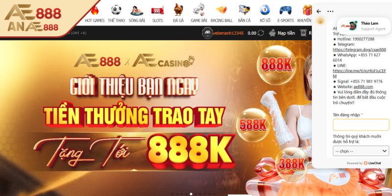 Hỗ trợ đại lý AE888 tận tình
