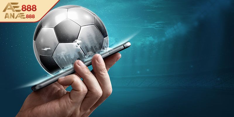 Khái quát hình thức cá cược thể thao